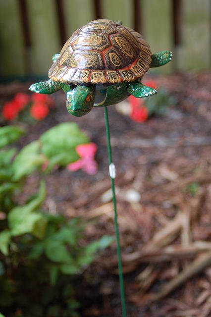 garden20100501 033
